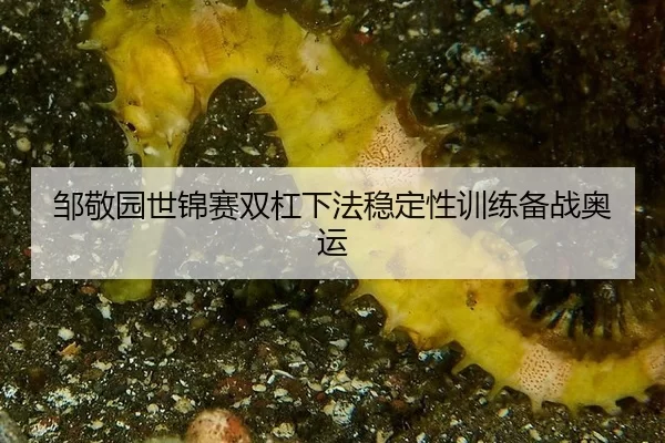 zou-jing-yuan-shi-jin-sai-shuang-gang-xia-fa-wen-ding-xing-xun-lian-bei-zhan-ao-yun-2-970.jpg