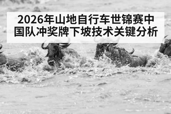 2026年山地自行车世锦赛中国队冲奖牌下坡技术关键分析